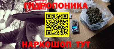 крисы Малгобек