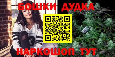 крисы Малгобек