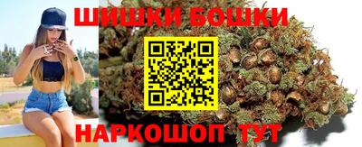 крисы Малгобек