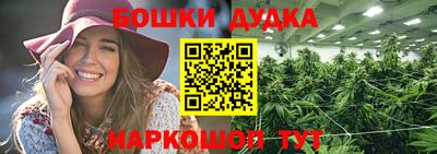 крисы Малгобек