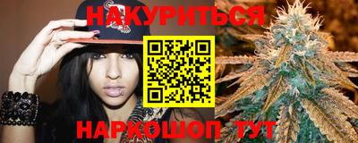 крисы Малгобек