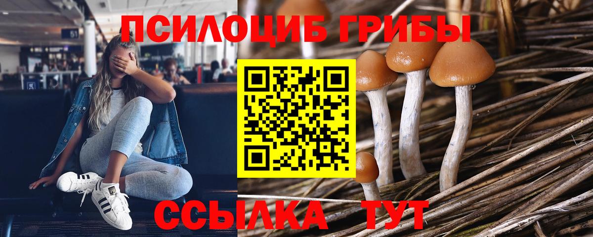 Галлюциногенные грибы Psilocybine cubensis  Псилоцибиновые грибы MAGIC MUSHROOMS  хочу наркоту  Вход с VPN  Барабинск 