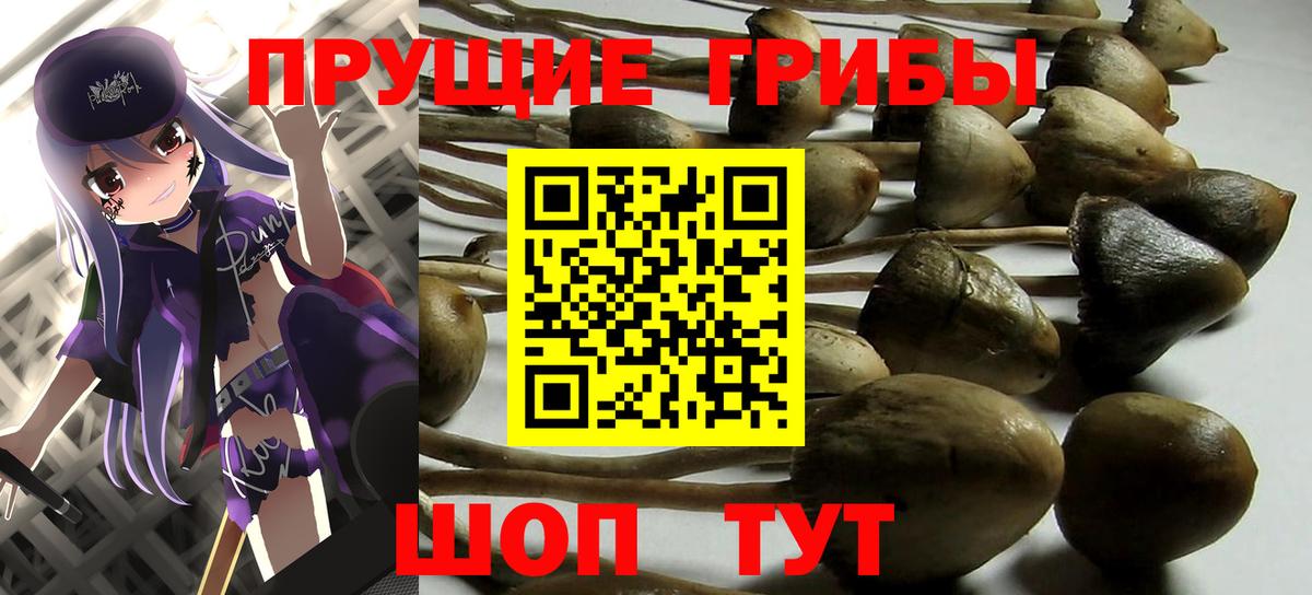 Псилоцибиновые грибы GOLDEN TEACHER Барабинск